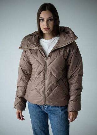 Куртка стеганая деми с капюшоном