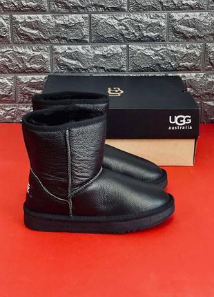 Ugg australia черные женские /человечи угги сапоги кожа размеры 35-41 / 39-451 фото