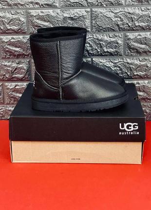 Ugg australia черные женские /человечи угги сапоги кожа размеры 35-41 / 39-452 фото