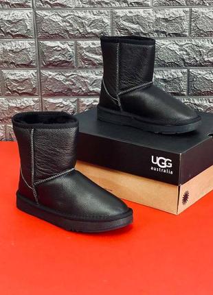 Ugg australia черные женские /человечи угги сапоги кожа размеры 35-41 / 39-454 фото