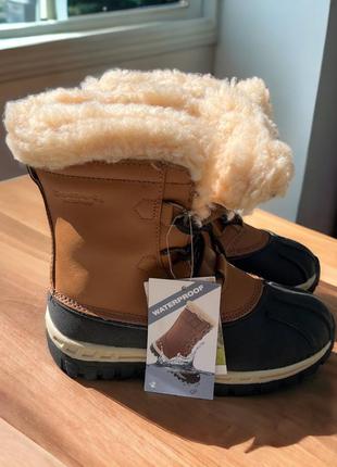 Bearpaw сапоги