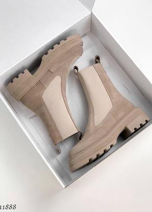 Замшеві черевики челсі з натуральної замші