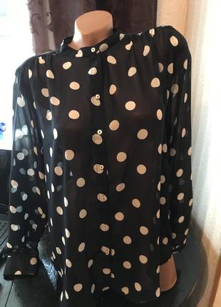 Шифоновая блуза в горох