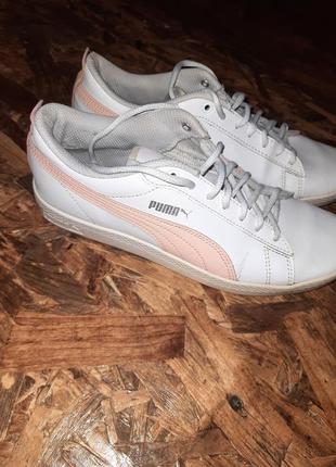 Кеды, женские кеды, кеды puma, кеды, жэнкие кеды, белые кеды, белые кеды, кроссовки, кроссовки