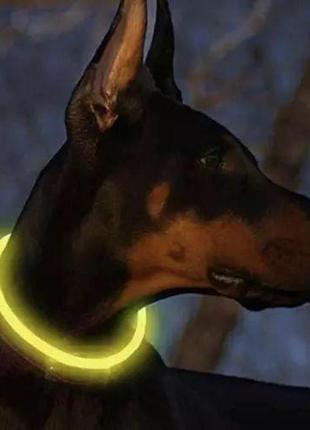 Ошейник для собак (желтый) purlov регулируемый со светодиодной подсветкой с usb-зарядкой размер 20-70 см3 фото