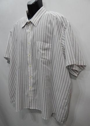Чоловіча сорочка оригінал david taylor р.62 (023кр) батал (тільки в зазначеному розмірі, 1 шт.)4 фото