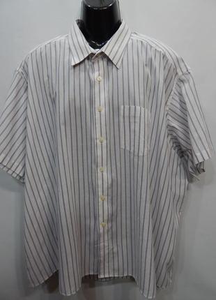 Чоловіча сорочка оригінал david taylor р.62 (023кр) батал (тільки в зазначеному розмірі, 1 шт.)