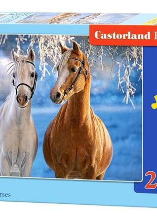 Пазлы castorland 260, шт