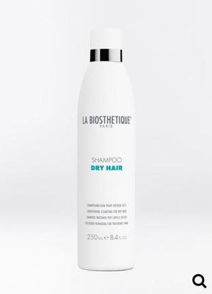 Shampoo dry hair