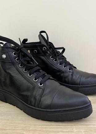 Челсі «malaspina» італія 🇮🇹