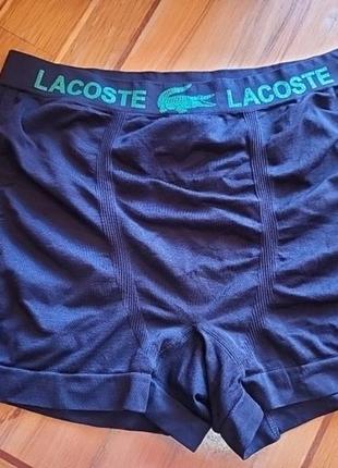 Мужские трусы lacoste