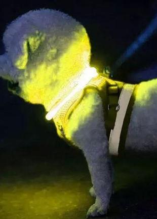 Ошейник для собак (желтый) purlov регулируемый со светодиодной подсветкой с usb-зарядкой размер 20-70см польша1 фото
