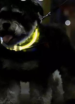 Ошейник для собак (желтый) purlov регулируемый со светодиодной подсветкой с usb-зарядкой размер 20-70см польша3 фото