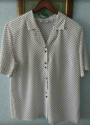 Нежная классическая блуза белая в горошек,
