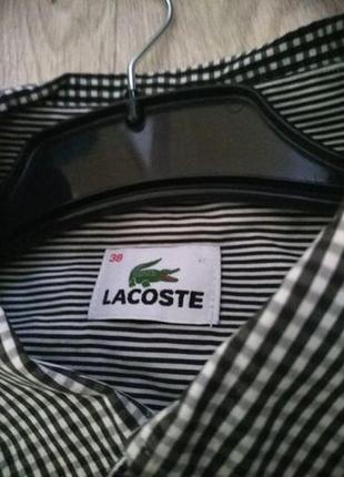 Нова сорочка lacoste оригінал4 фото