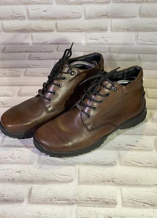 Ботінки hotter