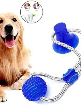 Інтерактивна іграшка для собак і кішок канат на присосці з м'ячем pet molar toys интерактивная іграшка для соба1 фото