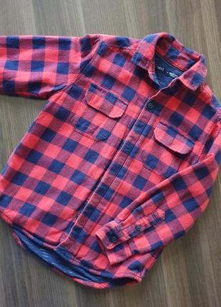 Сорочка, рубашка next