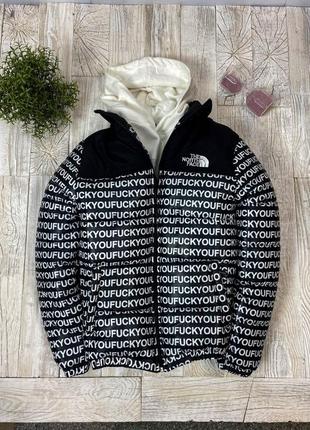 Куртка мужская зимняя tnf