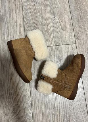 Сапоги сапожки ugg1 фото