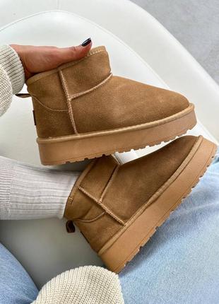 Вкорочені угги на високій масивній підошві🔥ultra mini uggs3 фото