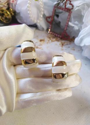 Vintage крупные эмалловые клипсы