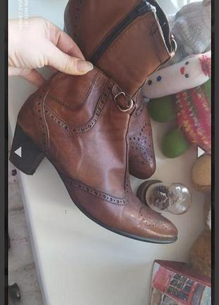 Кожаные ботинки казаки итальялия 39 размер
