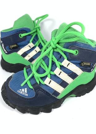 Кросівки adidas terrex