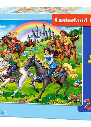Пазлы castorland 260, шт