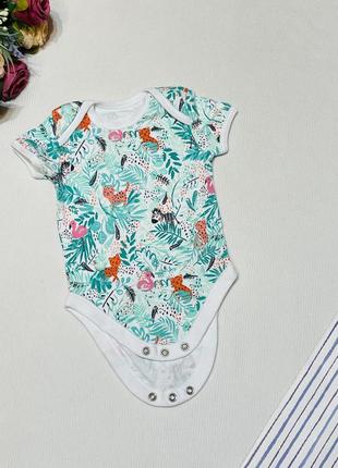 Бодик котоновый с ярким принтом бренд george, размер 6-9 месяцев 👼