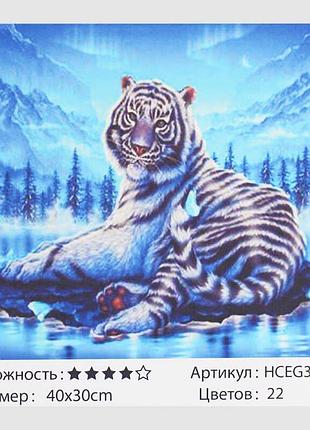 Картины по номерам 40х30см tk group белый тигр, на подрамнике с красками, кистями, 31689