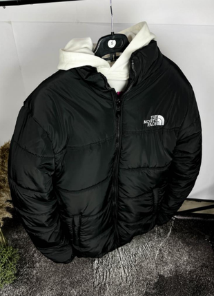Куртка мужская зимняя  tnf черного цвета
