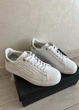 Кеди emporio armani