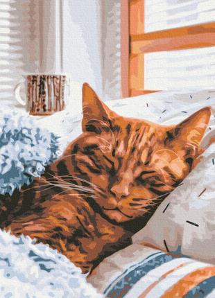 Картина за номерами "ранкова котик" brushme 40х50 см, rbs523201 фото