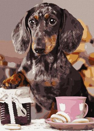 Картина по номерам идейка "пушистый повар" 40х40см