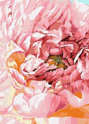 Набор для росписи, картина по номерам нежный пион 40х50см, кно2996