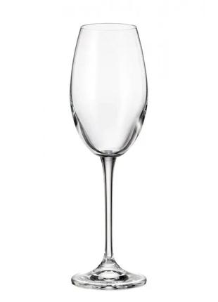 Набор бокалов для вина fulica, 300ml, 6шт/упак., 1sf8600000300