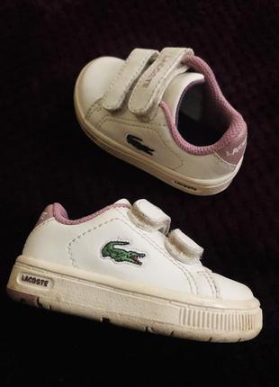 Lacoste оригинал! детские кроссовки на дипучках, натуральная кожа!