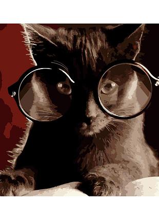 Картина по номерам кот-ученый, в термопакете 40х50cм, стратег dy178