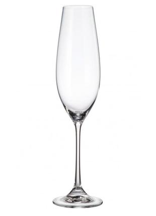 Набор бокалов для шампанского columba, 260ml, 1sg8000000/260