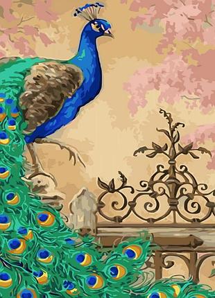 Набір для розпису за номерами павич на хвіртці 40х50 см, з лаком та рівнем стратег, va-3414