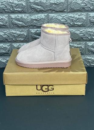 Сапоги ugg австралия женские мужские подростковые зимние ботинки угги зимние угі. уг угги угі уггі  новинка5 фото