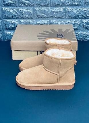 Сапоги ugg австралия женские мужские подростковые зимние ботинки угги зимние угі. уг угги угі уггі  новинка8 фото