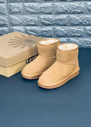 Сапоги ugg австралия женские мужские подростковые зимние ботинки угги зимние угі. уг угги угі уггі  новинка1 фото