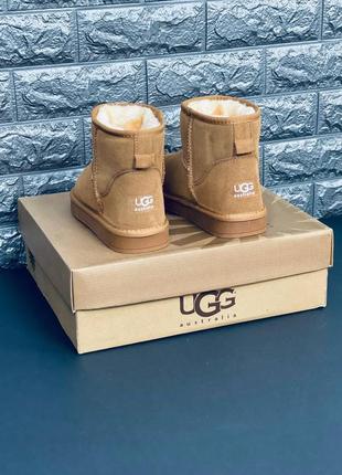 Сапоги ugg австралия женские мужские подростковые зимние ботинки угги зимние угі. уг угги угі уггі  новинка7 фото