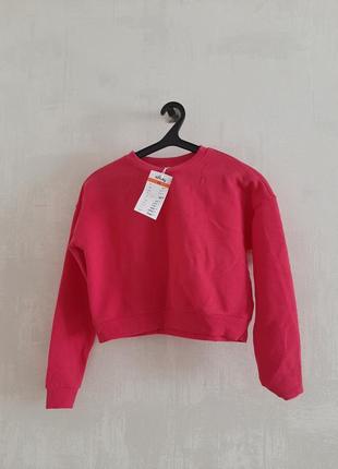 Світшот короткий