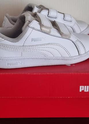 Кроссовки puma4 фото