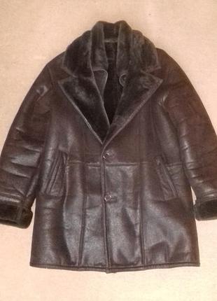 Дублянка чоловіча