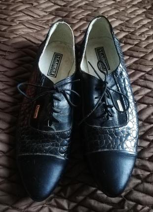 Продам дерби