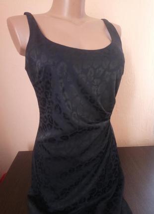 Плаття в наявності .